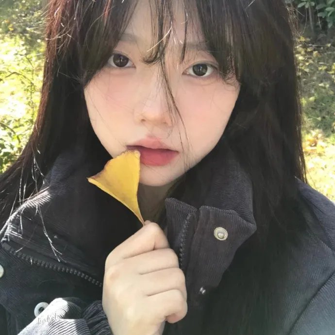 羊与钢的森林